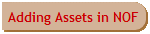 Adding Assets in NOF